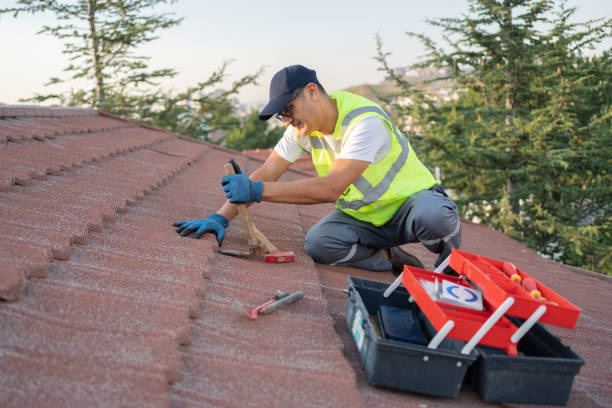 Best Local Roofing Companies  in Manchester, IA